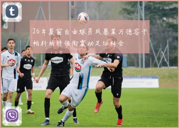 26年夏窗自由球员风暴莱万德容于帕科纳特领衔震动足坛转会